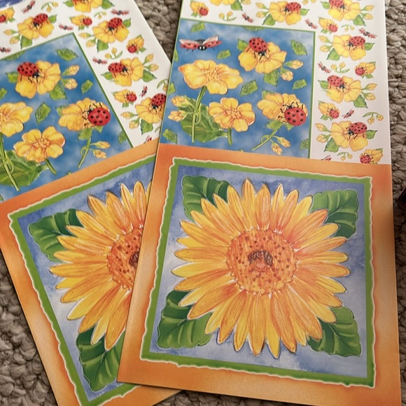 Plaid Mod Podge kit that contains most of the items you would need for projects. - Picture 8 of 13